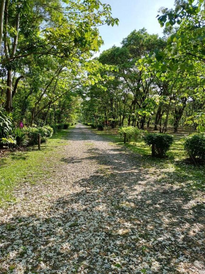 花蓮金澤居民宿樹窩民宿御安居民宿寵物友善 지안 외부 사진