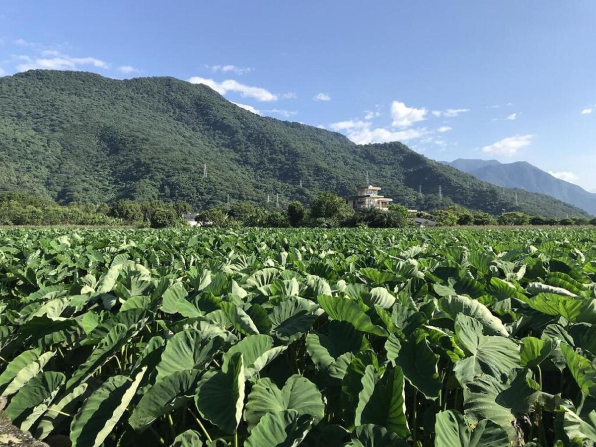 花蓮金澤居民宿樹窩民宿御安居民宿寵物友善 지안 외부 사진